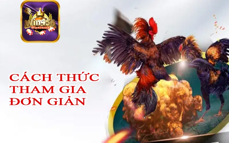 cach-thuc-tham-gia-don-gian