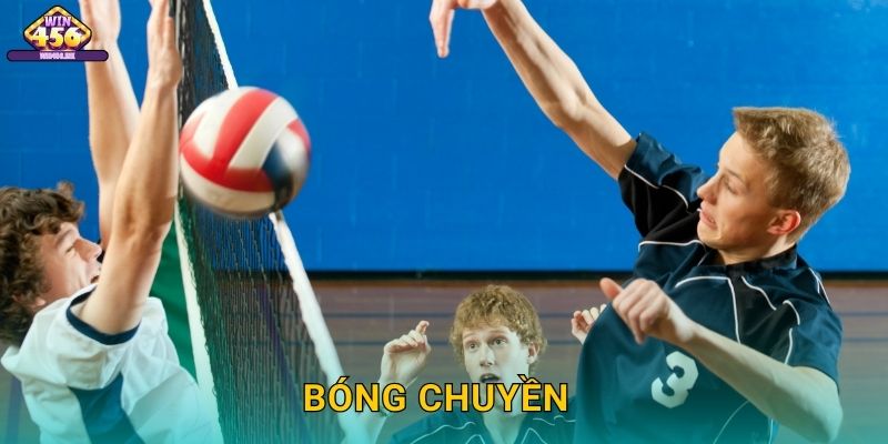 Bóng chuyền Cá Cược Đặc Sắc – Dự Đoán Tỷ Số Sét Đấu Với Tỷ Lệ Tốt Tại Win456
