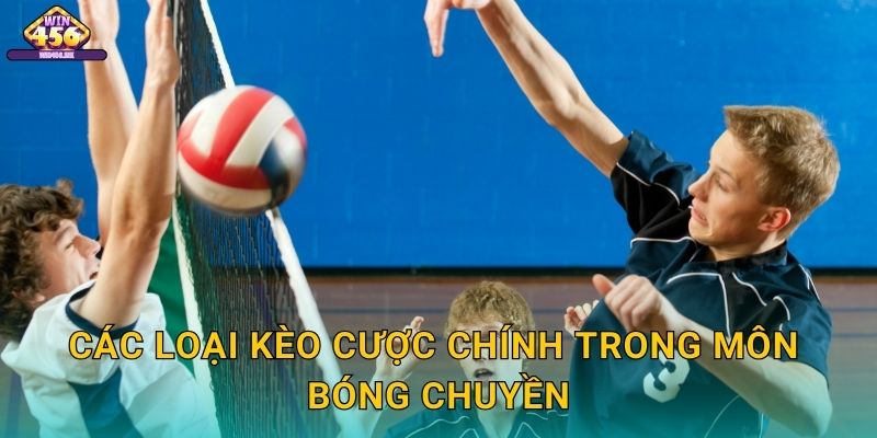 Các Loại Kèo Cược Chính Trong Môn Bóng Chuyền