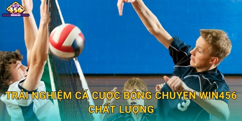 Trải Nghiệm Cá Cược Bóng chuyền Win456 Chất Lượng