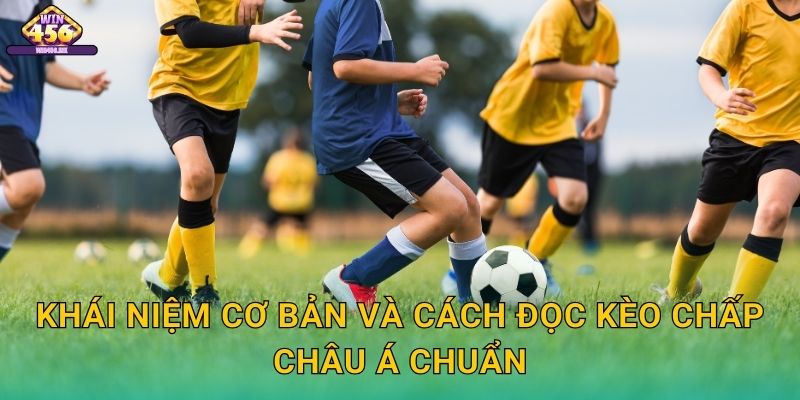 Khái Niệm Cơ Bản Và Cách Đọc Kèo Chấp Châu Á Chuẩn