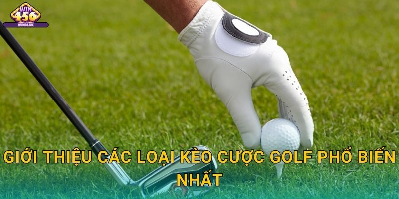 Giới Thiệu Các Loại Kèo Cược Golf Phổ Biến Nhất